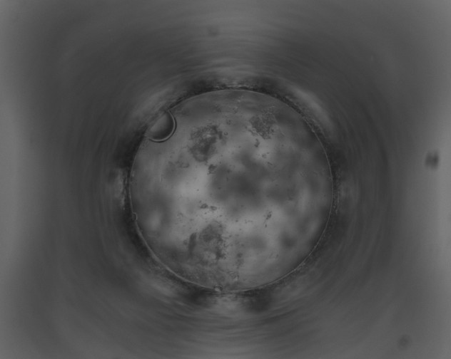 X0000093440121200710191049