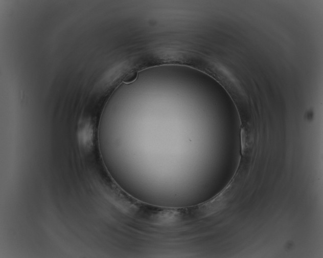 X0000093440124200710191049