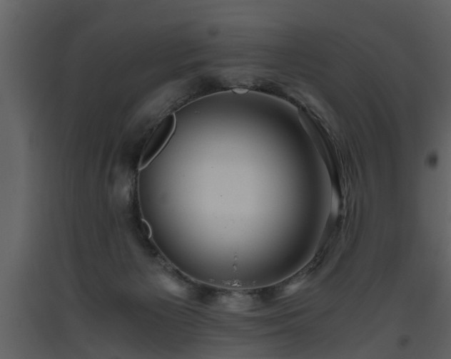 X0000093440125200710191049