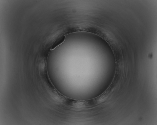 X0000093440129200710191049