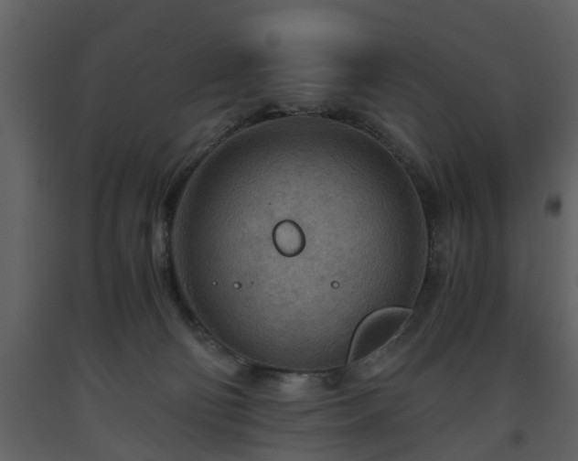 X0000093440130200710191049