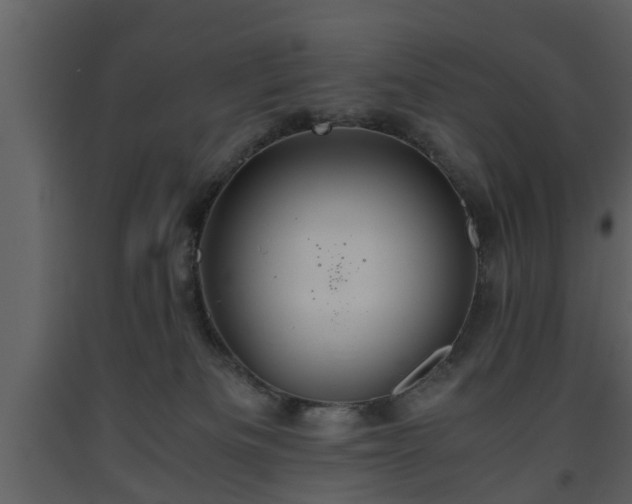 X0000093440133200710191049