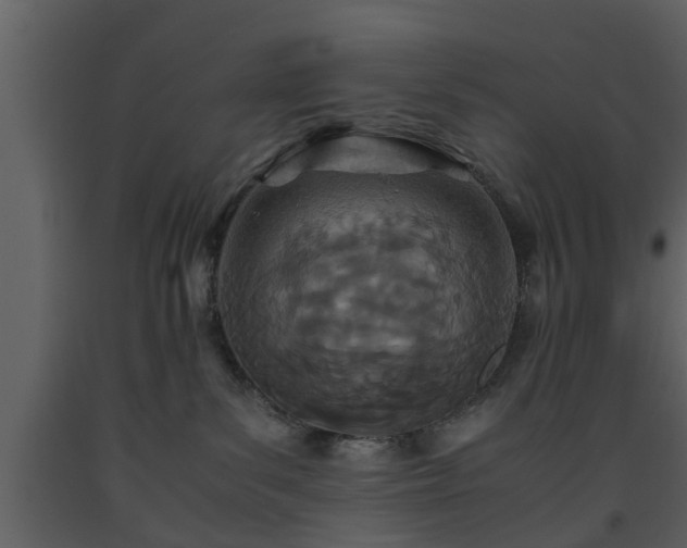 X0000093440139200710191049