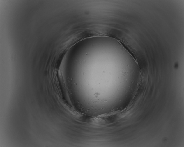 X0000093440141200710191049