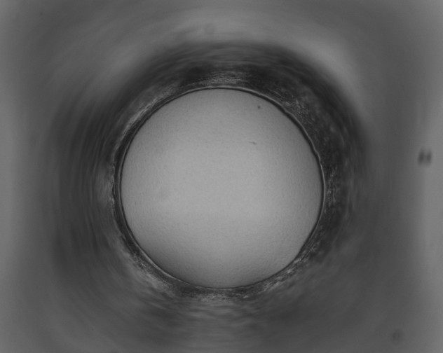 X0000093440146200710191048