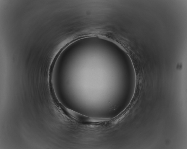X0000093440148200710191048