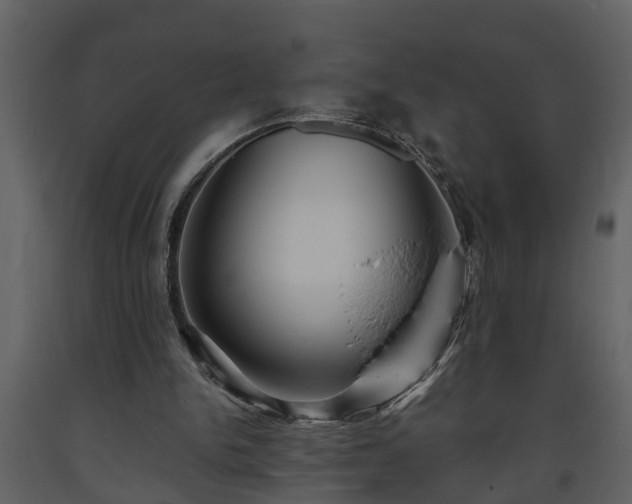 X0000093440150200710191048