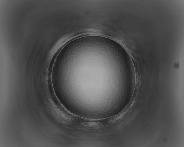 X0000093440151200710191048