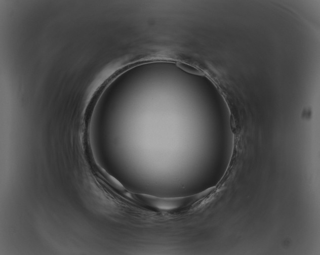 X0000093440152200710191048