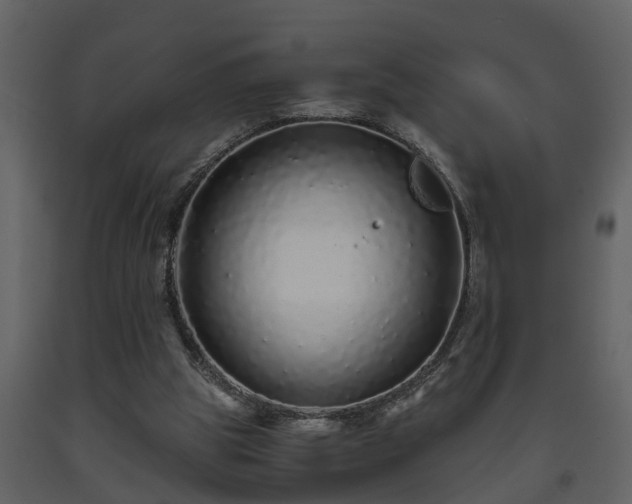 X0000093440153200710191048