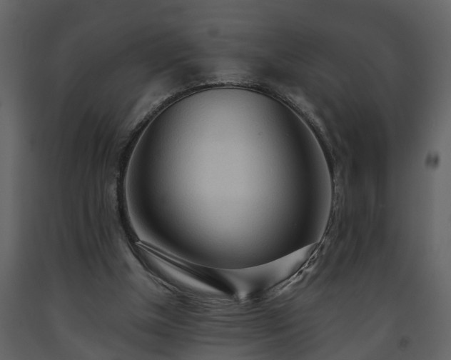 X0000093440154200710191048