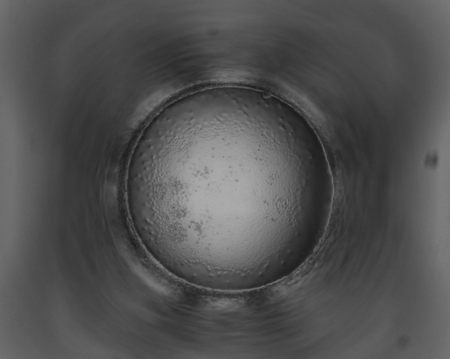 X0000093440155200710191048