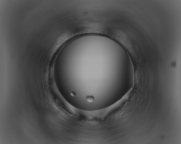 X0000093440156200710191048