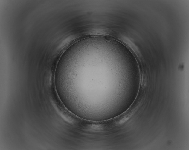 X0000093440157200710191048
