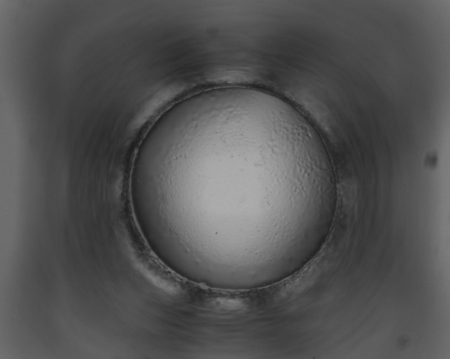 X0000093440159200710191049