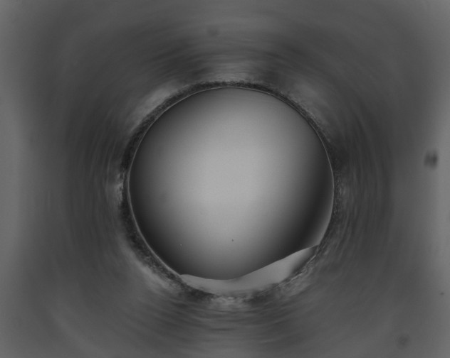 X0000093440160200710191049