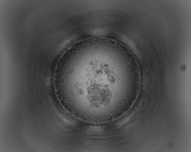 X0000093440161200710191049