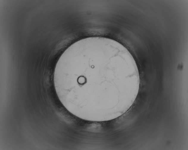 X0000093440162200710191049