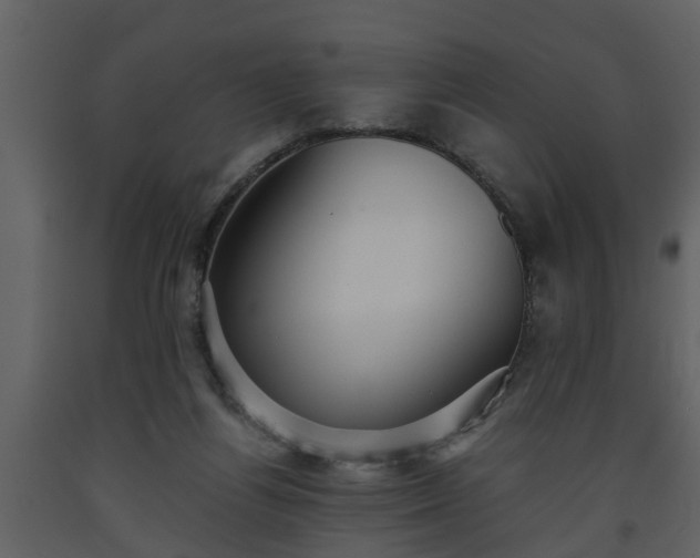 X0000093440164200710191049
