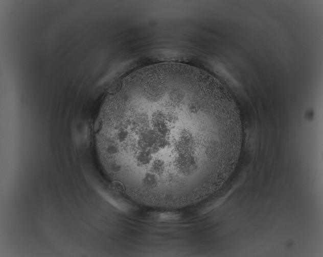X0000093440165200710191049