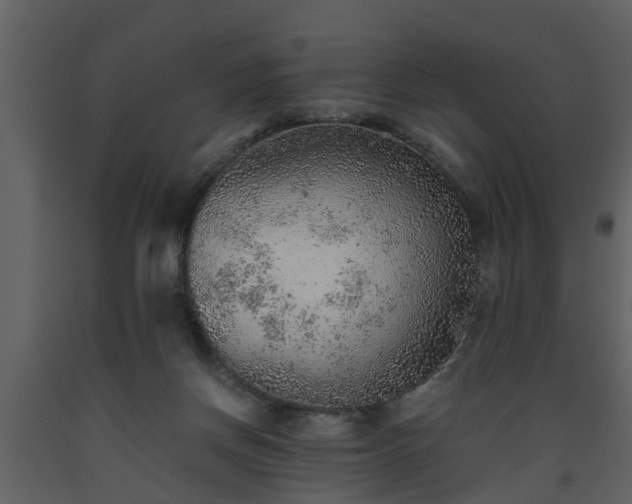 X0000093440166200710191049