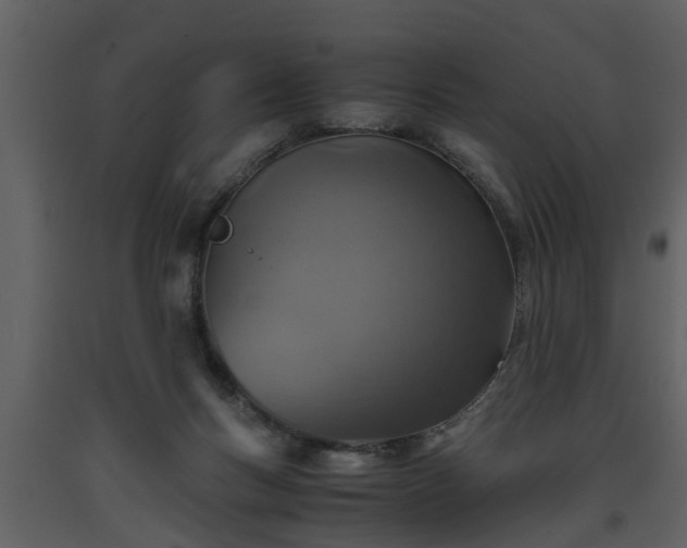 X0000093440167200710191049