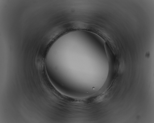 X0000093440168200710191049