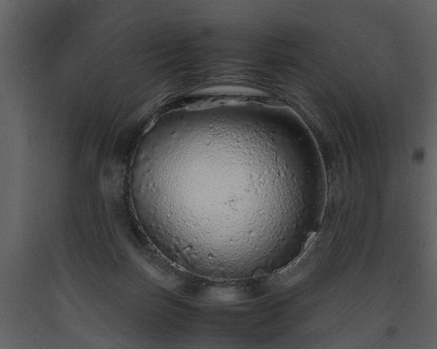 X0000093440171200710191049