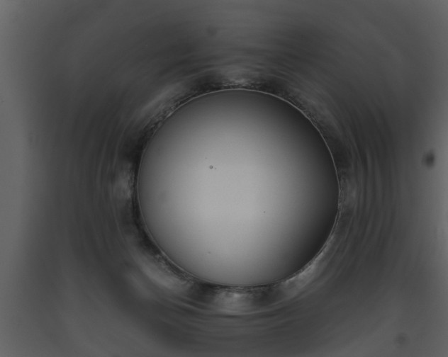X0000093440174200710191049