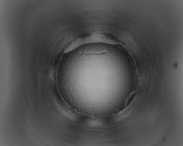 X0000093440175200710191049