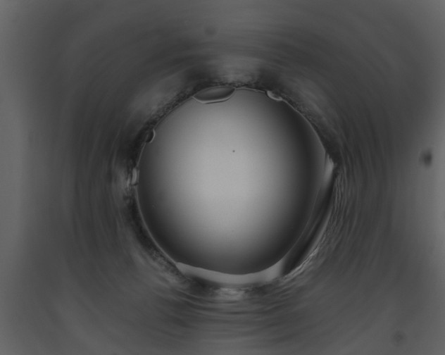 X0000093440176200710191049