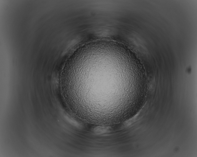 X0000093440179200710191049