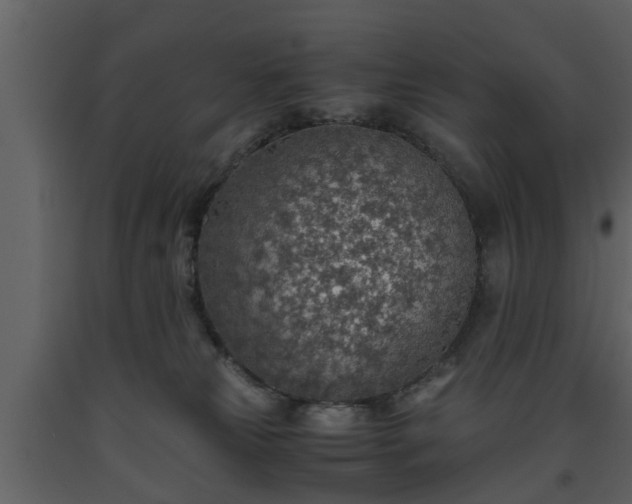 X0000093440181200710191049