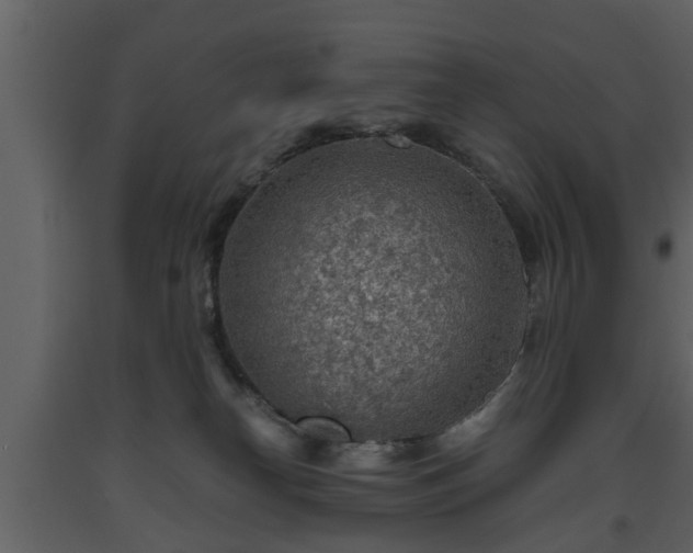 X0000093440182200710191049