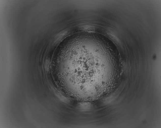 X0000093440189200710191049