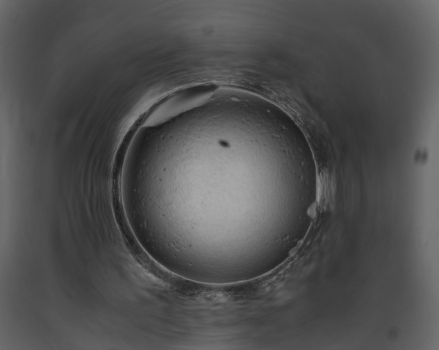 X0000093440195200710191048