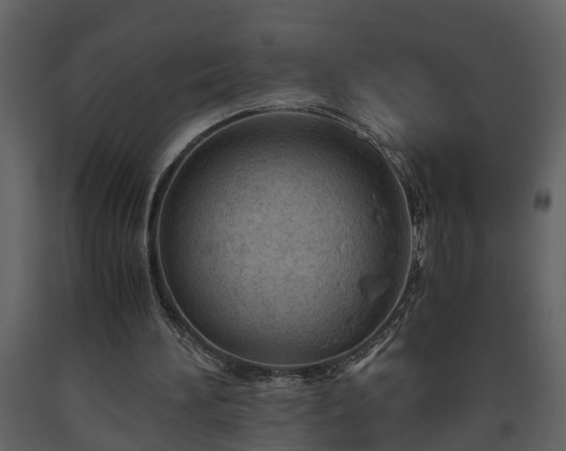 X0000093440196200710191048