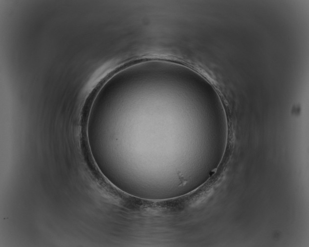 X0000093440199200710191048