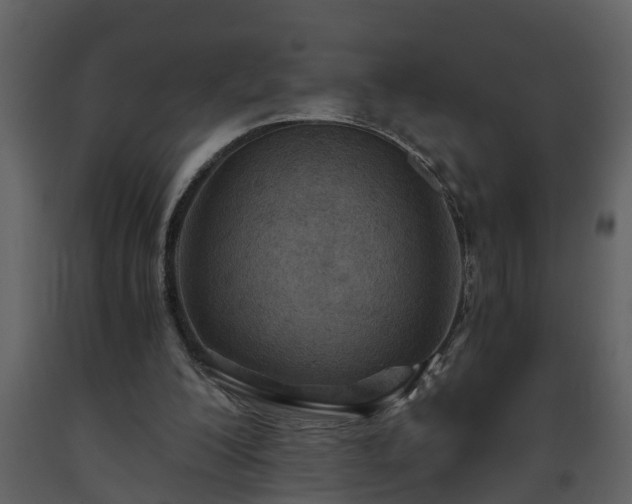 X0000093440200200710191048