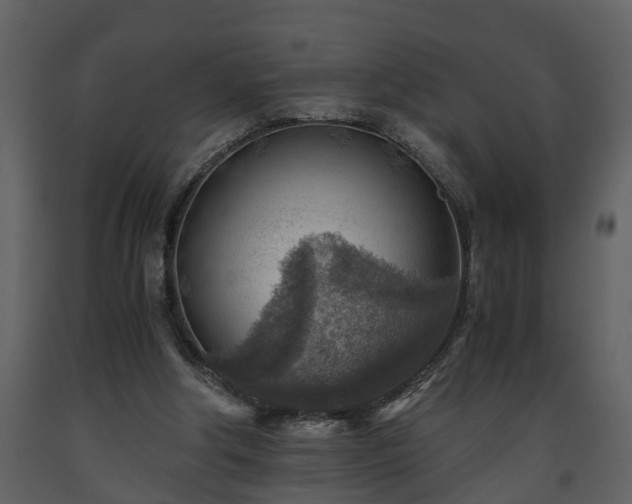 X0000093440202200710191048