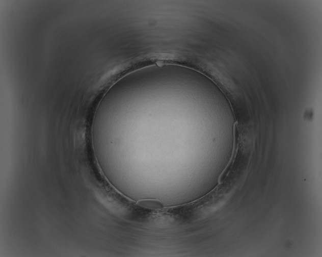 X0000093440207200710191048