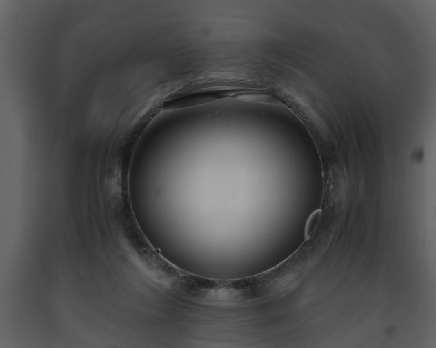 X0000093440212200710191048