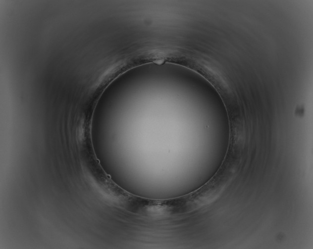 X0000093440216200710191048