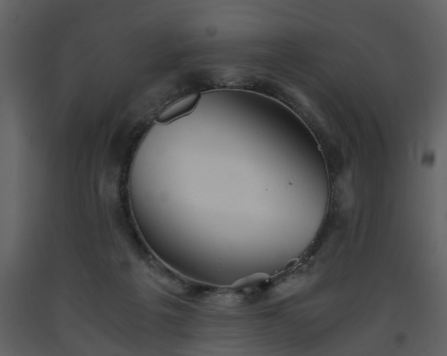 X0000093440217200710191048