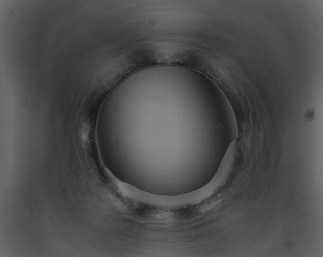X0000093440219200710191048