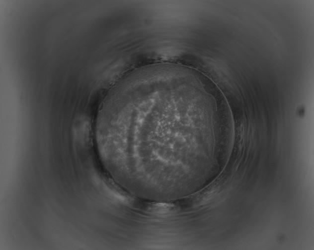 X0000093440222200710191048