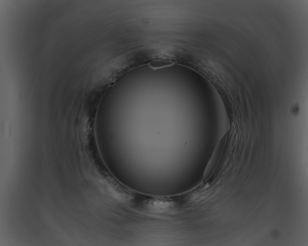 X0000093440223200710191048