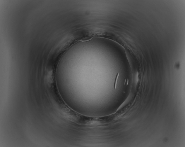 X0000093440224200710191048