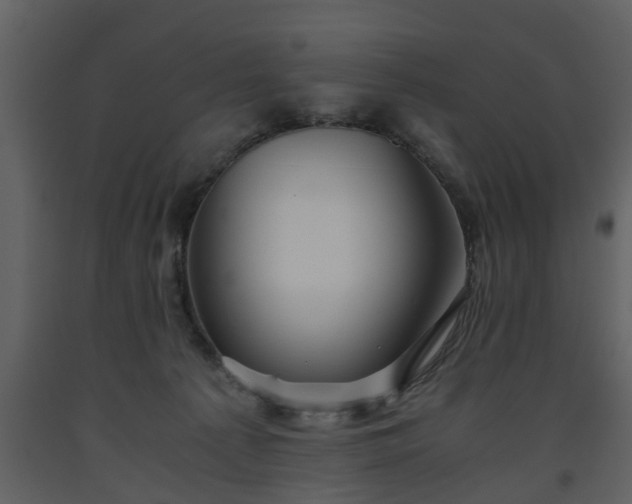 X0000093440225200710191048