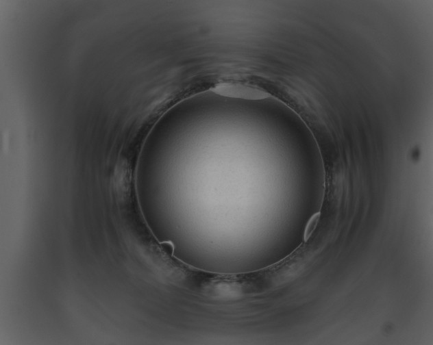 X0000093440228200710191048